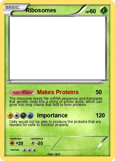 Pokemon Ribosomes