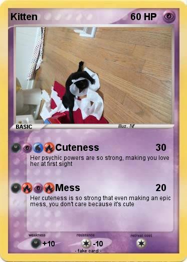 Pokemon Kitten
