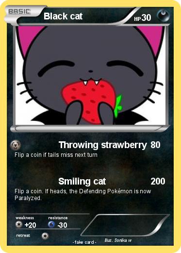 Pokemon Black cat