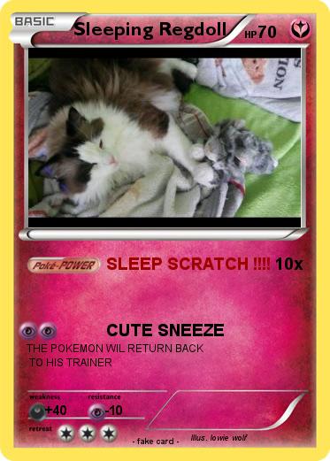 Pokemon Sleeping Regdoll