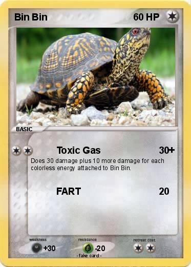 Pokemon Bin Bin