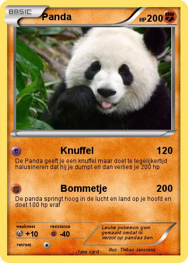 Pokemon Panda