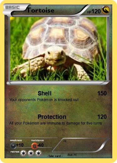Pokemon Tortoise