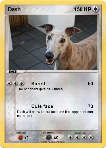 Pokemon Dash