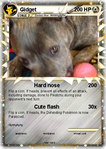 Pokemon Gidget