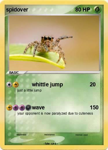 Pokemon spidover