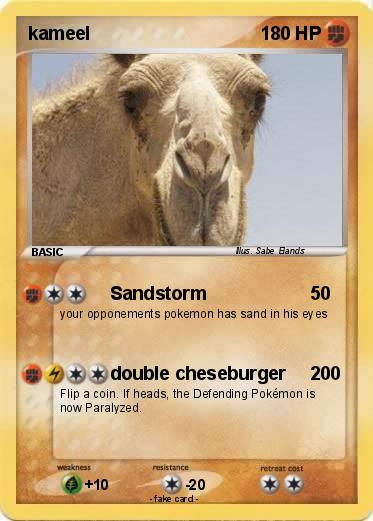 Pokemon kameel