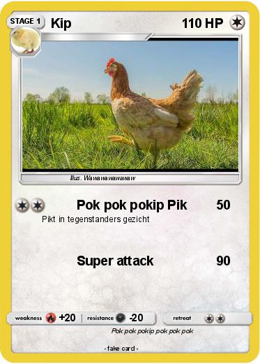 Pokemon Kip