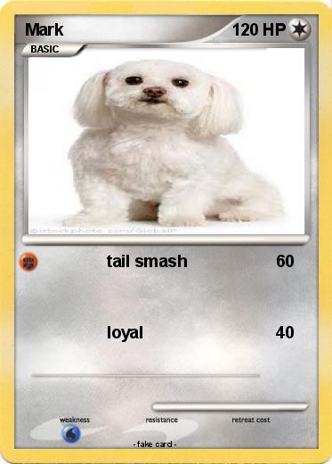 Pokemon Mark