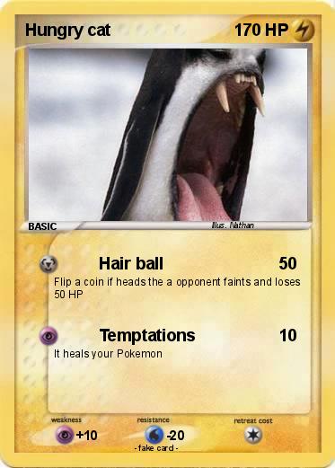 Pokemon Hungry cat