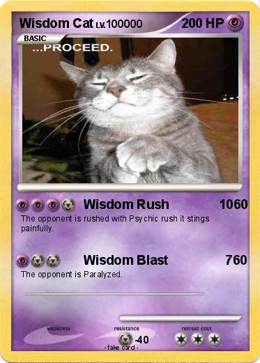 Pokemon Wisdom Cat