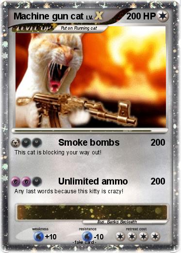 Pokemon Machine gun cat