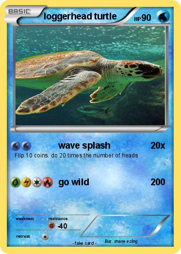 Pokemon loggerhead turtle