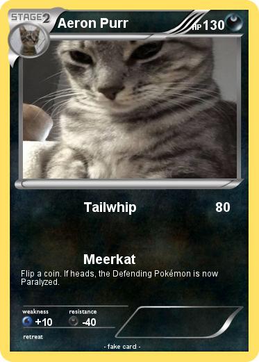 Pokemon Aeron Purr