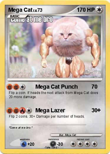 Pokemon Mega Cat