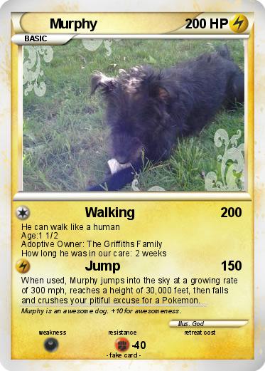 Pokemon Murphy