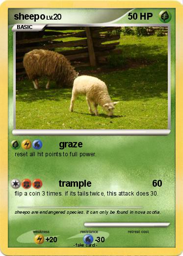 Pokemon sheepo