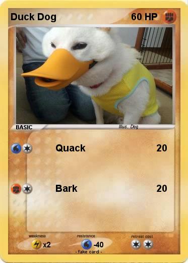 Pokemon Duck Dog