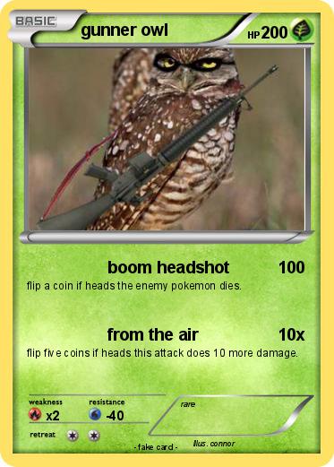 Pokemon gunner owl