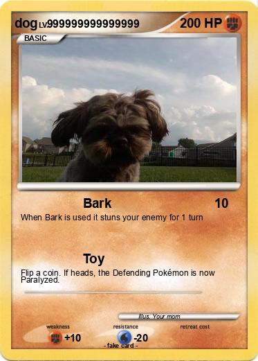 Pokemon dog