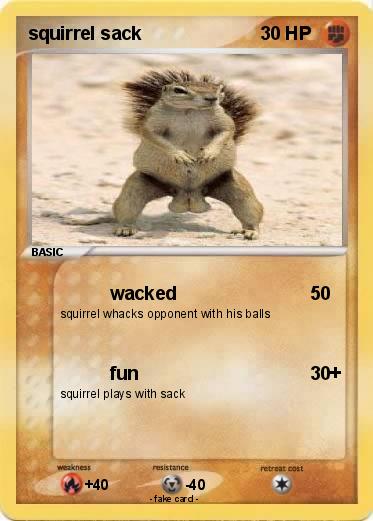 Pokemon squirrel sack
