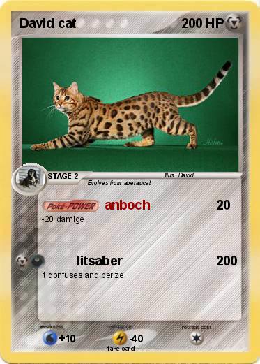 Pokemon David cat