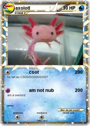 Pokemon axolotl