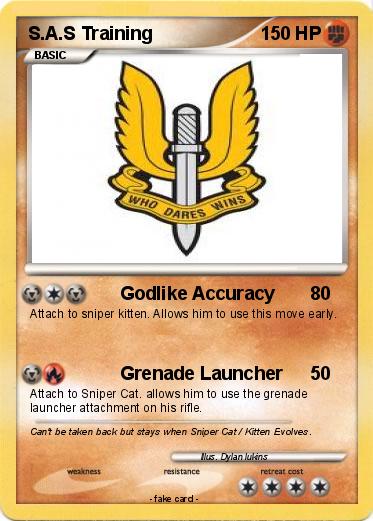 Pokemon S.A.S Training