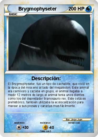 Pokemon Brygmophyseter