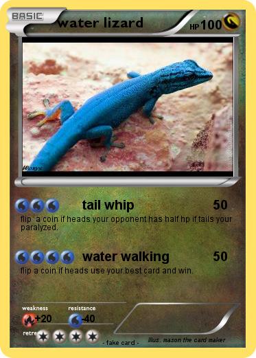 Pokemon water lizard