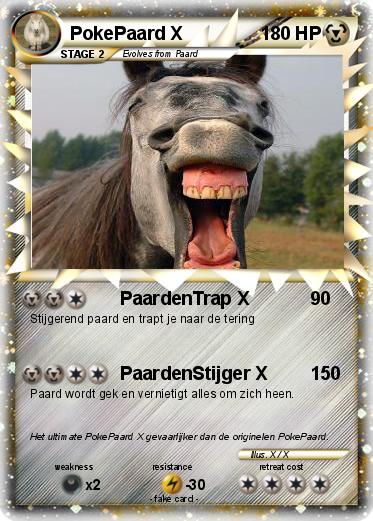 Pokemon PokePaard X