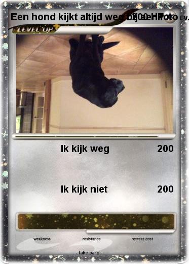 Pokemon Een hond kijkt altijd weg bij een foto