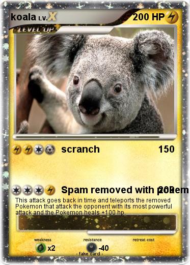 Pokemon koala