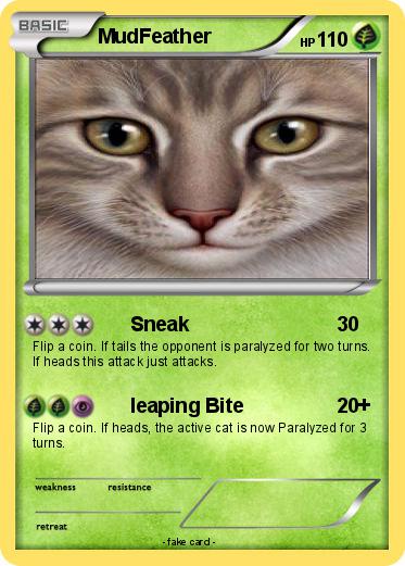Pokemon MudFeather
