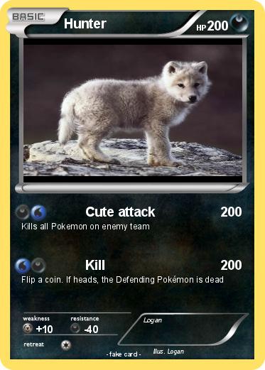 Pokemon Hunter