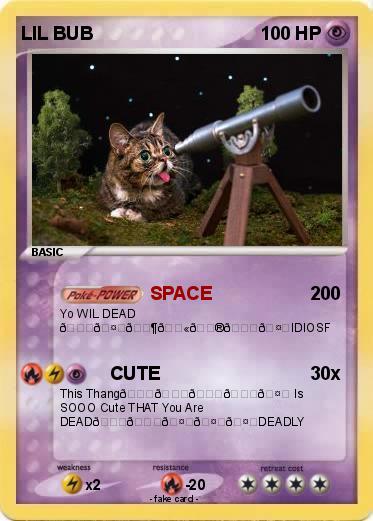 Pokemon LIL BUB