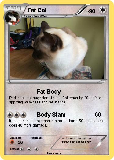 Pokemon Fat Cat
