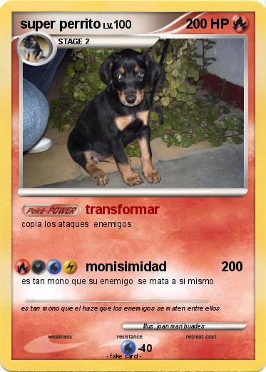 Pokemon super perrito