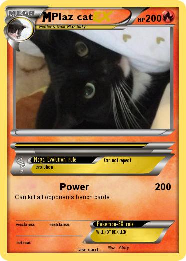 Pokemon Plaz cat