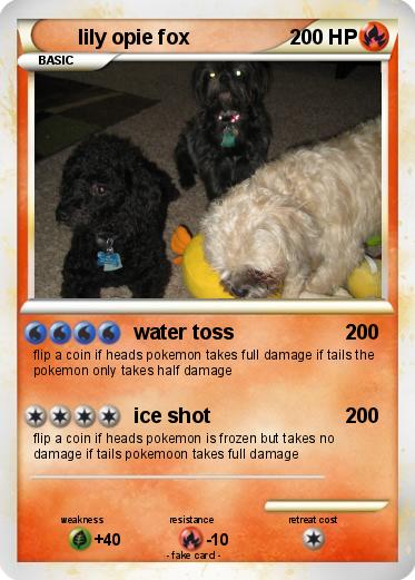 Pokemon lily opie fox