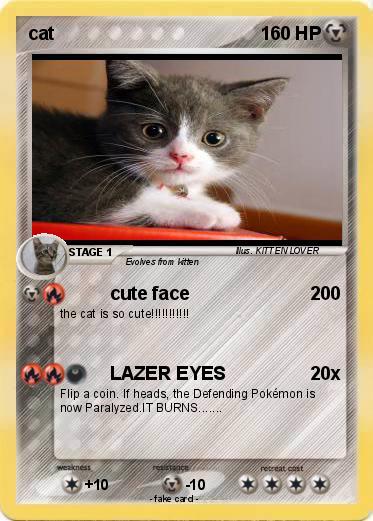 Pokemon cat