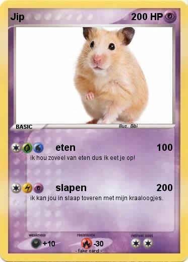 Pokemon Jip