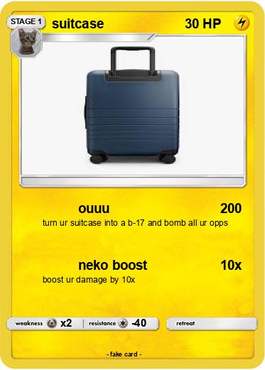 Pokemon suitcase