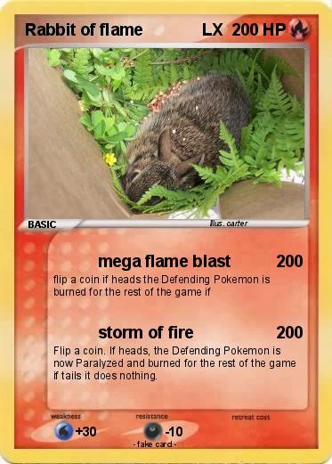 Pokemon Rabbit of flame             LX