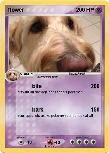 Pokemon flower