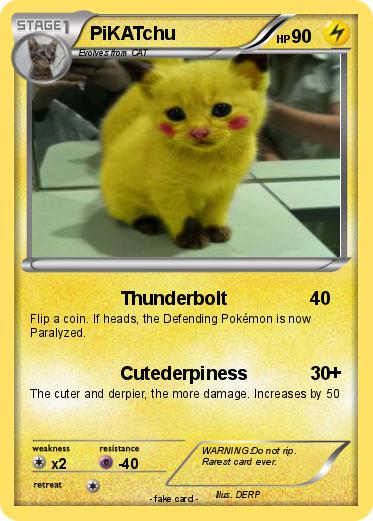 Pokemon PiKATchu