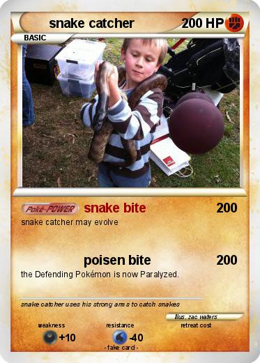 Pokemon snake catcher