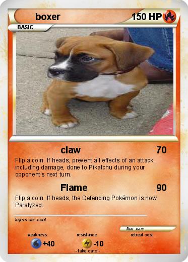 Pokemon boxer