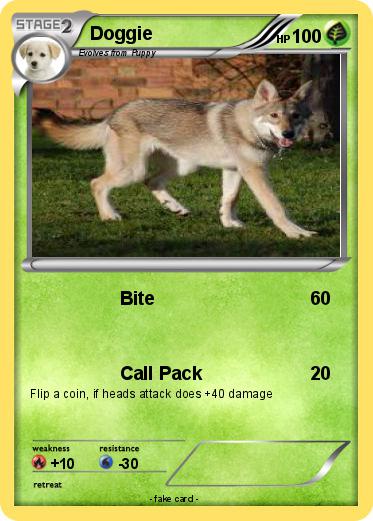 Pokemon Doggie