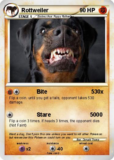 Pokemon Rottweiler